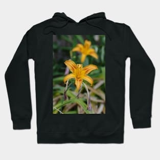 Tiger lily in a row Hoodie